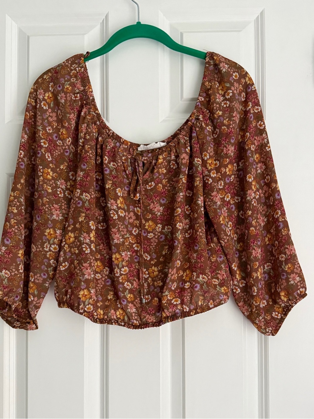 Pink Rose Brown Floral Peasant Top Cropped Puff Sleeves Boho Festival Size Large